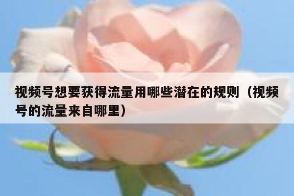 视频号想要获得流量用哪些潜在的规则(视频号的流量来自哪里) 第1张 视频号想要获得流量用哪些潜在的规则(视频号的流量来自哪里) 第1张