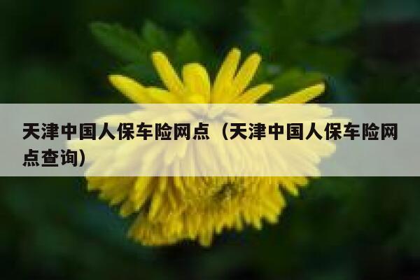 天津中国人保车险网点(天津中国人保车险网点查询) 第1张 天津中国人保车险网点(天津中国人保车险网点查询) 第1张