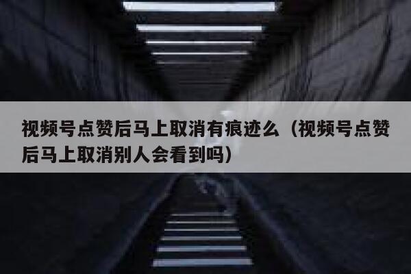 视频号点赞后马上取消有痕迹么(视频号点赞后马上取消别人会看到吗) 第1张 视频号点赞后马上取消有痕迹么(视频号点赞后马上取消别人会看到吗) 第1张