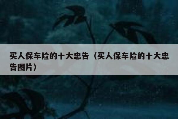 买人保车险的十大忠告(买人保车险的十大忠告图片) 第1张 买人保车险的十大忠告(买人保车险的十大忠告图片) 第1张