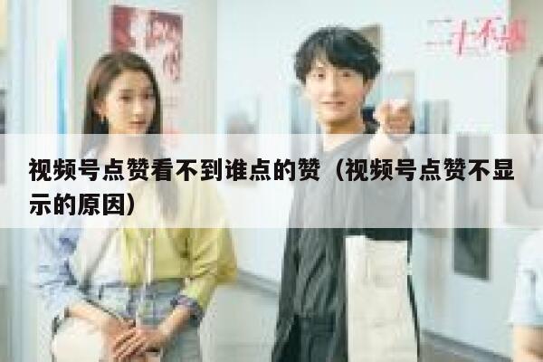 视频号点赞看不到谁点的赞(视频号点赞不显示的原因) 第1张 视频号点赞看不到谁点的赞(视频号点赞不显示的原因) 第1张