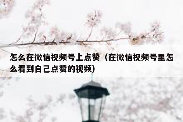怎么在微信视频号上点赞（在微信视频号里怎么看到自己点赞的视频） 第1张