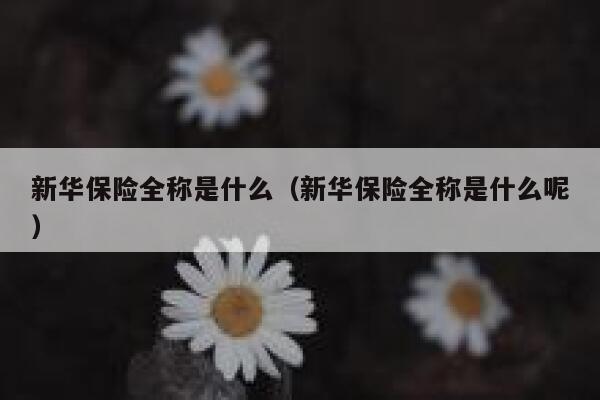 新华保险全称是什么(新华保险全称是什么呢) 第1张 新华保险全称是什么(新华保险全称是什么呢) 第1张