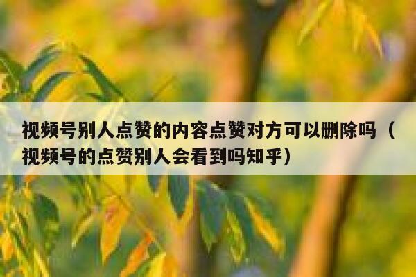 视频号别人点赞的内容点赞对方可以删除吗(视频号的点赞别人会看到吗知乎) 第1张 视频号别人点赞的内容点赞对方可以删除吗(视频号的点赞别人会看到吗知乎) 第1张