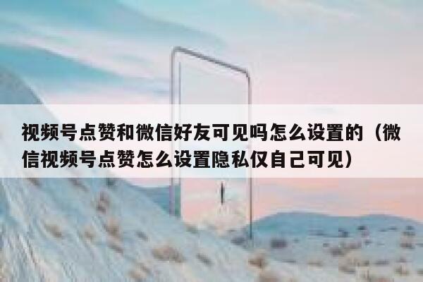 视频号点赞和微信好友可见吗怎么设置的(微信视频号点赞怎么设置隐私仅自己可见) 第1张 视频号点赞和微信好友可见吗怎么设置的(微信视频号点赞怎么设置隐私仅自己可见) 第1张