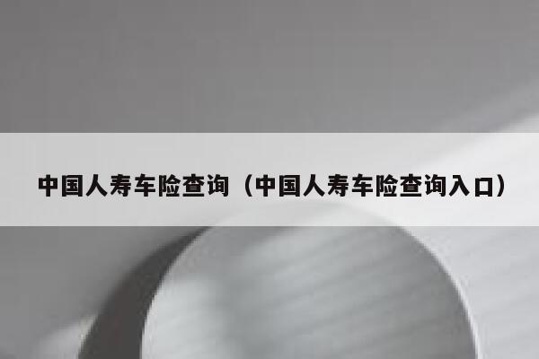 中国人寿车险查询（中国人寿车险查询入口） 第1张