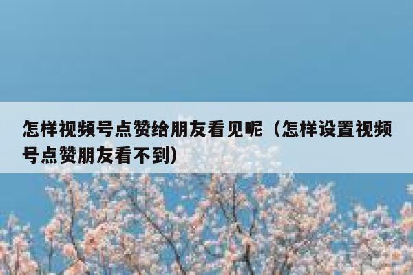 怎样视频号点赞给朋友看见呢(怎样设置视频号点赞朋友看不到) 第1张 怎样视频号点赞给朋友看见呢(怎样设置视频号点赞朋友看不到) 第1张