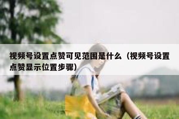 视频号设置点赞可见范围是什么(视频号设置点赞显示位置步骤) 第1张 视频号设置点赞可见范围是什么(视频号设置点赞显示位置步骤) 第1张