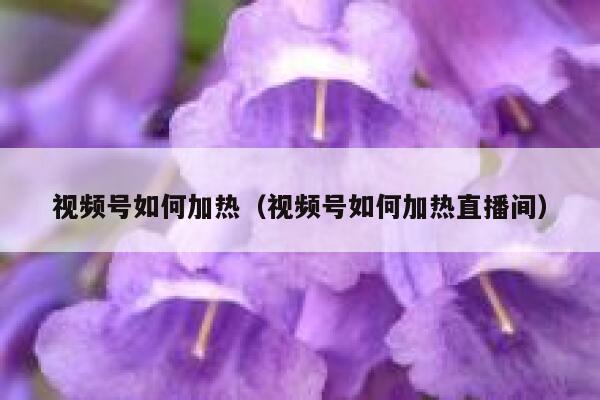 视频号如何加热（视频号如何加热直播间） 第1张