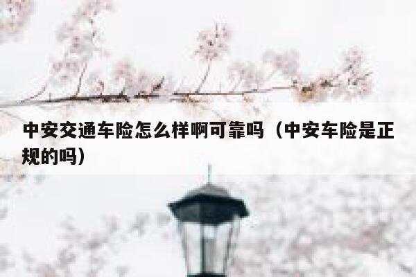 中安交通车险怎么样啊可靠吗（中安车险是正规的吗） 第1张