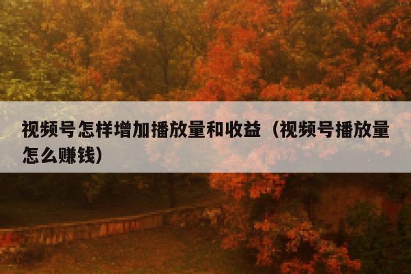 视频号怎样增加播放量和收益（视频号播放量怎么赚钱） 第1张