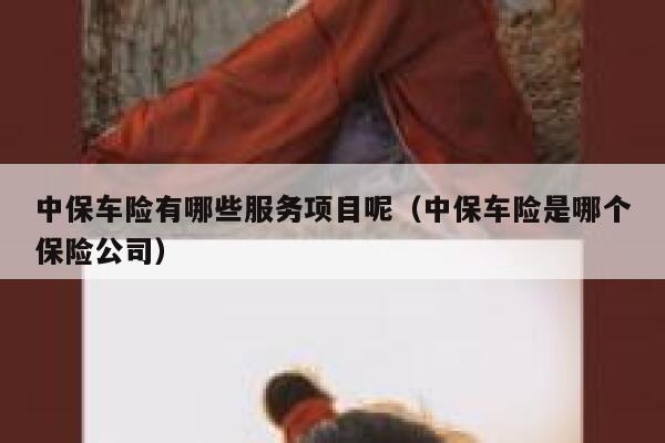 中保车险有哪些服务项目呢（中保车险是哪个保险公司） 第1张