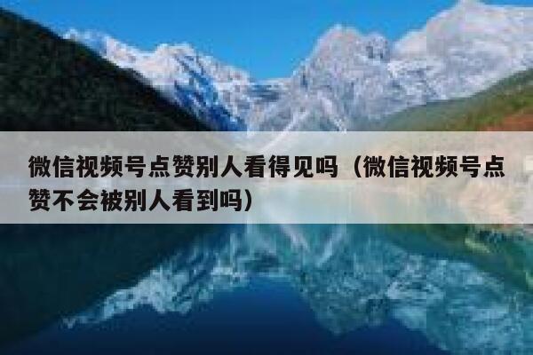 微信视频号点赞别人看得见吗(微信视频号点赞不会被别人看到吗) 第1张 微信视频号点赞别人看得见吗(微信视频号点赞不会被别人看到吗) 第1张