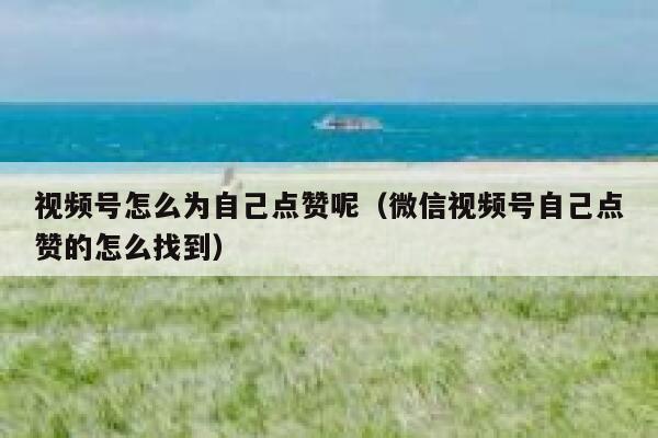 视频号怎么为自己点赞呢(微信视频号自己点赞的怎么找到) 第1张 视频号怎么为自己点赞呢(微信视频号自己点赞的怎么找到) 第1张