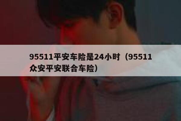 95511平安车险是24小时(95511众安平安联合车险) 第1张 95511平安车险是24小时(95511众安平安联合车险) 第1张