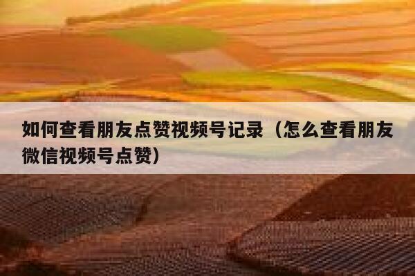 如何查看朋友点赞视频号记录(怎么查看朋友微信视频号点赞) 第1张 如何查看朋友点赞视频号记录(怎么查看朋友微信视频号点赞) 第1张