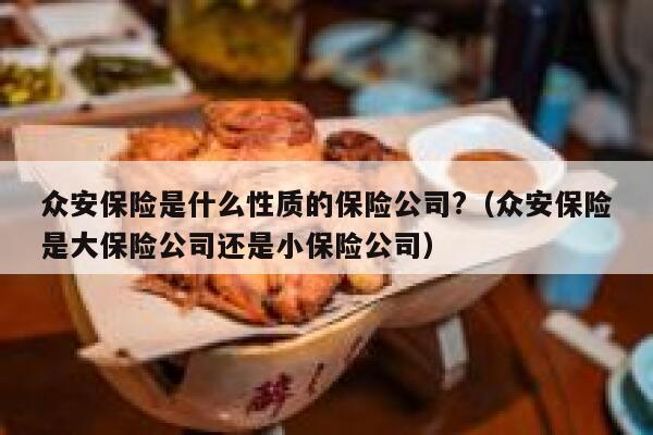 众安保险是什么性质的保险公司?（众安保险是大保险公司还是小保险公司） 第1张