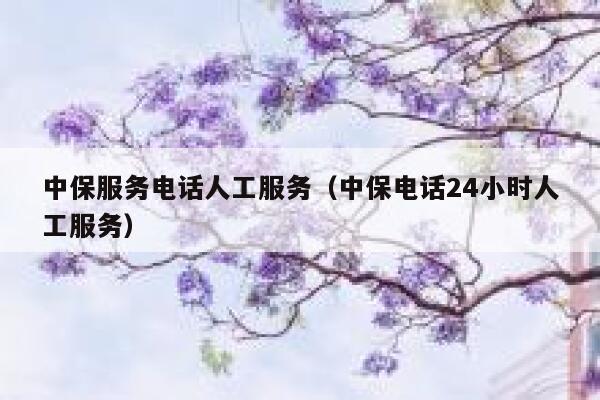 中保服务电话人工服务（中保电话24小时人工服务） 第1张