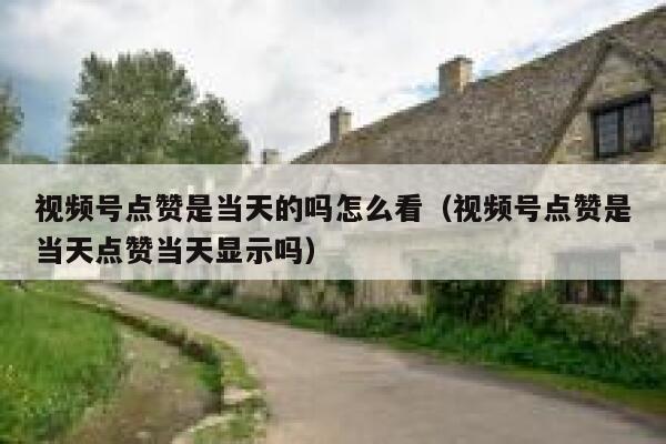 视频号点赞是当天的吗怎么看（视频号点赞是当天点赞当天显示吗） 第1张