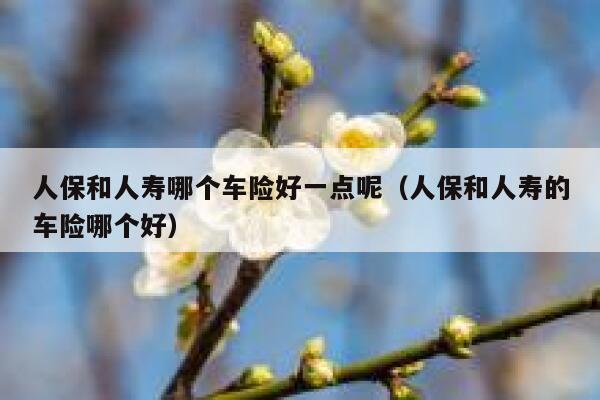 人保和人寿哪个车险好一点呢(人保和人寿的车险哪个好) 第1张 人保和人寿哪个车险好一点呢(人保和人寿的车险哪个好) 第1张