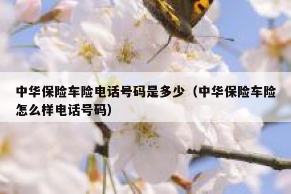 中华保险车险电话号码是多少（中华保险车险怎么样电话号码） 第1张