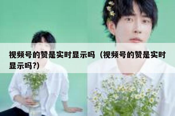 视频号的赞是实时显示吗(视频号的赞是实时显示吗?) 第1张 视频号的赞是实时显示吗(视频号的赞是实时显示吗?) 第1张