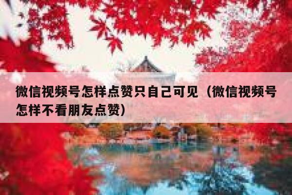 微信视频号怎样点赞只自己可见（微信视频号怎样不看朋友点赞） 第1张