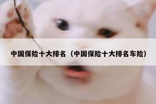 中国保险十大排名（中国保险十大排名车险） 第1张