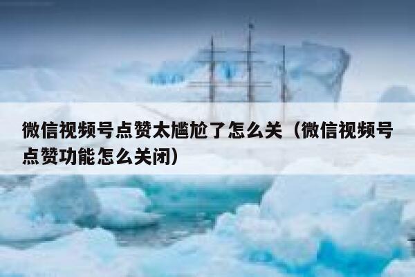 微信视频号点赞太尴尬了怎么关(微信视频号点赞功能怎么关闭) 第1张 微信视频号点赞太尴尬了怎么关(微信视频号点赞功能怎么关闭) 第1张