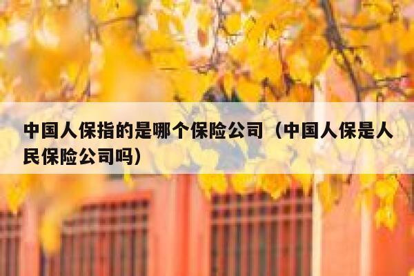 中国人保指的是哪个保险公司(中国人保是人民保险公司吗) 第1张 中国人保指的是哪个保险公司(中国人保是人民保险公司吗) 第1张