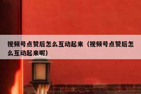 视频号点赞后怎么互动起来（视频号点赞后怎么互动起来呢） 第1张