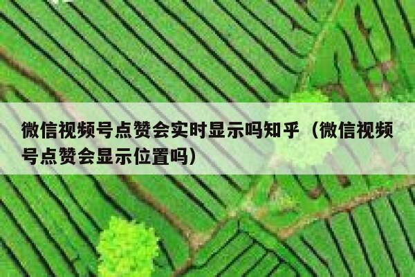 微信视频号点赞会实时显示吗知乎(微信视频号点赞会显示位置吗) 第1张 微信视频号点赞会实时显示吗知乎(微信视频号点赞会显示位置吗) 第1张