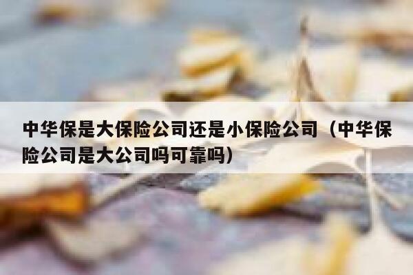 中华保是大保险公司还是小保险公司(中华保险公司是大公司吗可靠吗) 第1张 中华保是大保险公司还是小保险公司(中华保险公司是大公司吗可靠吗) 第1张