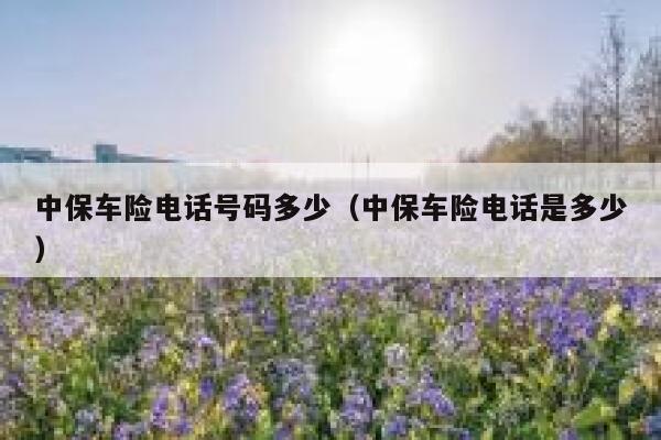 中保车险电话号码多少(中保车险电话是多少) 第1张 中保车险电话号码多少(中保车险电话是多少) 第1张