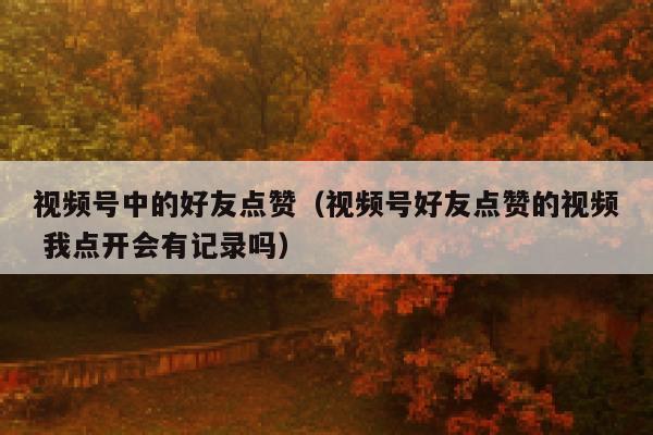 视频号中的好友点赞（视频号好友点赞的视频 我点开会有记录吗） 第1张