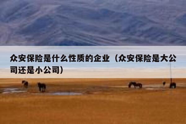 众安保险是什么性质的企业(众安保险是大公司还是小公司) 第1张 众安保险是什么性质的企业(众安保险是大公司还是小公司) 第1张