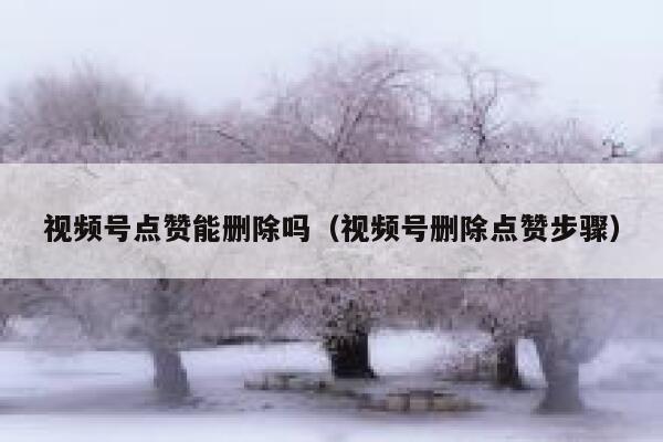 视频号点赞能删除吗(视频号删除点赞步骤) 第1张 视频号点赞能删除吗(视频号删除点赞步骤) 第1张