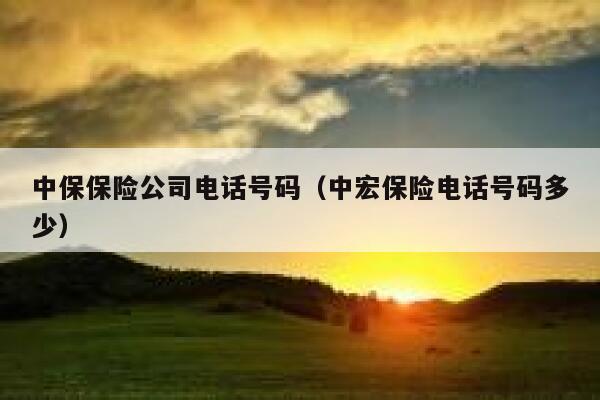 中保保险公司电话号码(中宏保险电话号码多少) 第1张 中保保险公司电话号码(中宏保险电话号码多少) 第1张