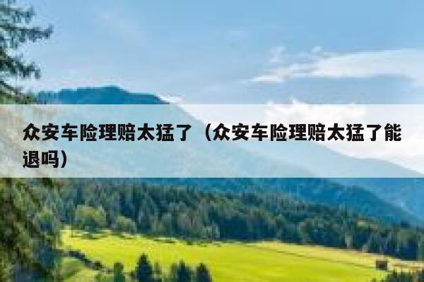 众安车险理赔太猛了(众安车险理赔太猛了能退吗) 第1张 众安车险理赔太猛了(众安车险理赔太猛了能退吗) 第1张