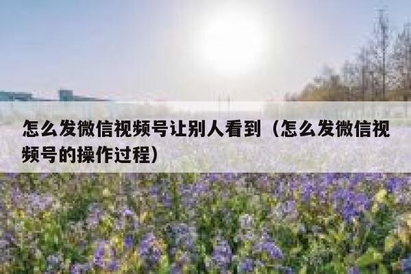 怎么发微信视频号让别人看到(怎么发微信视频号的操作过程) 第1张 怎么发微信视频号让别人看到(怎么发微信视频号的操作过程) 第1张