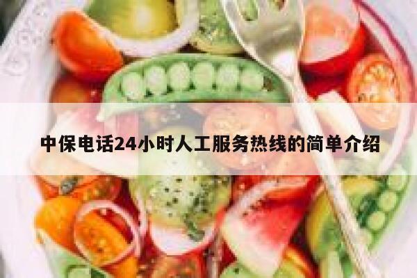 中保电话24小时人工服务热线的简单介绍 第1张