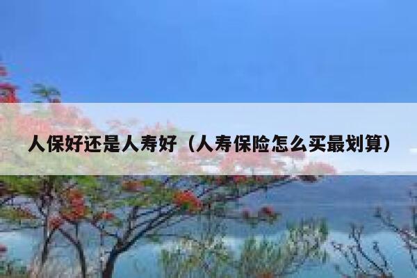 人保好还是人寿好(人寿保险怎么买最划算) 第1张 人保好还是人寿好(人寿保险怎么买最划算) 第1张