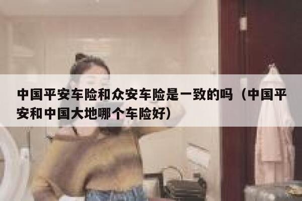 中国平安车险和众安车险是一致的吗(中国平安和中国大地哪个车险好) 第1张 中国平安车险和众安车险是一致的吗(中国平安和中国大地哪个车险好) 第1张