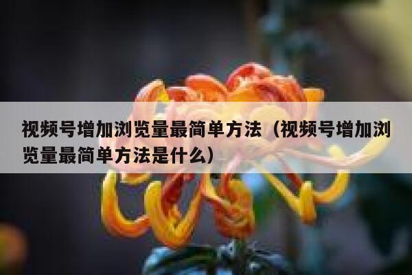 视频号增加浏览量最简单方法(视频号增加浏览量最简单方法是什么) 第1张 视频号增加浏览量最简单方法(视频号增加浏览量最简单方法是什么) 第1张