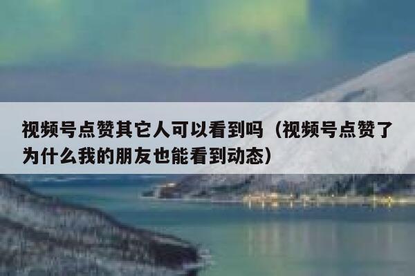 视频号点赞其它人可以看到吗（视频号点赞了为什么我的朋友也能看到动态） 第1张