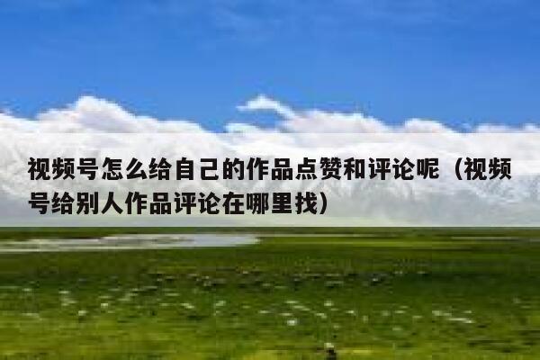 视频号怎么给自己的作品点赞和评论呢(视频号给别人作品评论在哪里找) 第1张 视频号怎么给自己的作品点赞和评论呢(视频号给别人作品评论在哪里找) 第1张