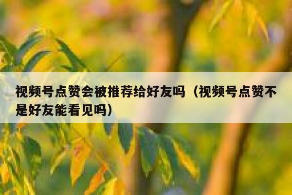 视频号点赞会被推荐给好友吗（视频号点赞不是好友能看见吗） 第1张