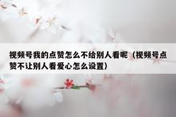视频号我的点赞怎么不给别人看呢(视频号点赞不让别人看爱心怎么设置) 第1张 视频号我的点赞怎么不给别人看呢(视频号点赞不让别人看爱心怎么设置) 第1张