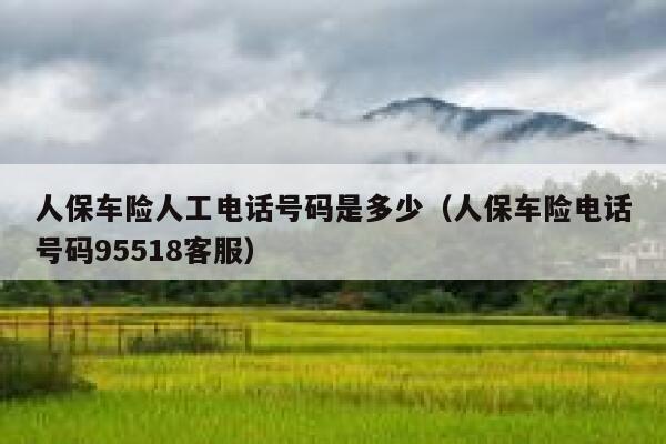 人保车险人工电话号码是多少（人保车险电话号码95518客服） 第1张