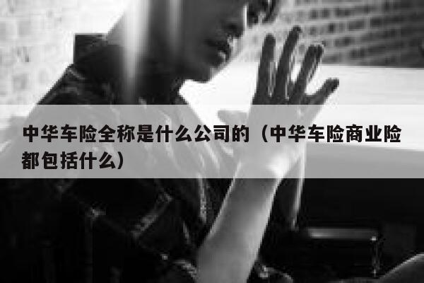 中华车险全称是什么公司的（中华车险商业险都包括什么） 第1张